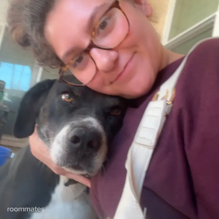 Roommate looking Phoenix, AZ, $900