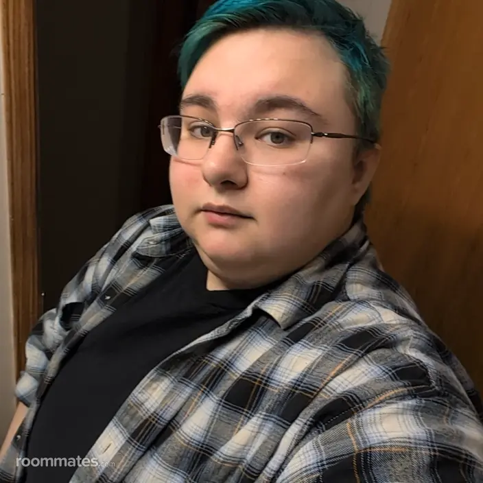 Roommate looking High Ridge, MO, $600