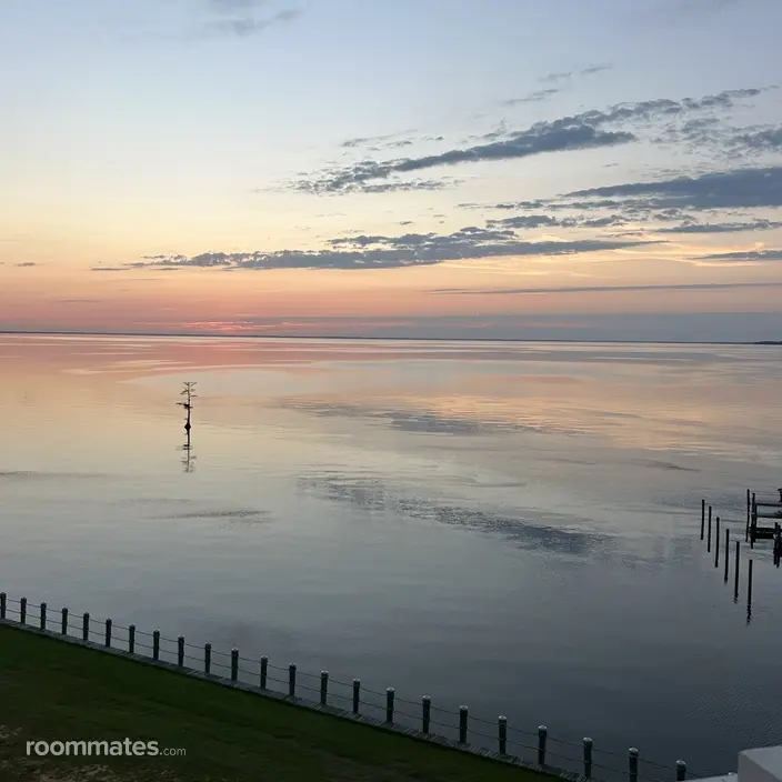 Roommate looking Winchester, VA, $1000