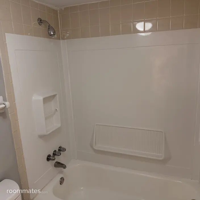 Room for rent in Kirkwood, MO $700, house