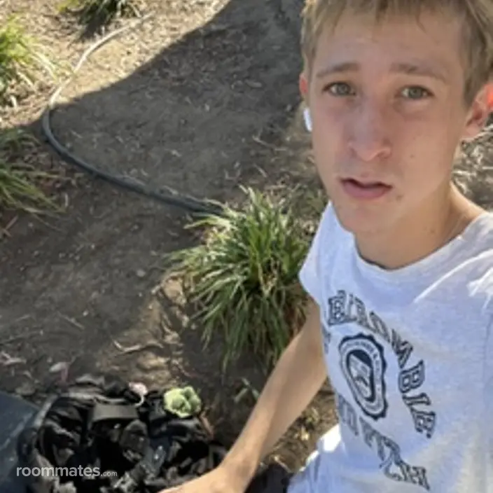 Roommate looking San Jose, CA, $1200