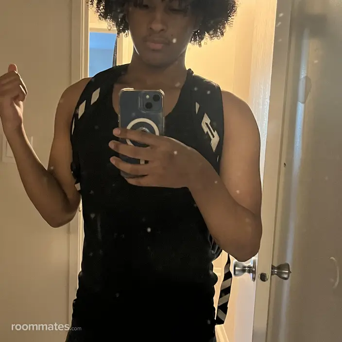 Roommate looking Chicago, IL, $600