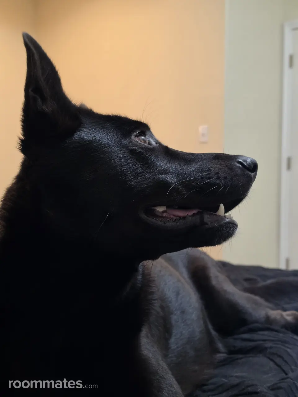 Profile photo 3 of 4