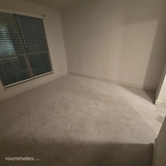 Room for rent in Canton, GA $1100, apartment