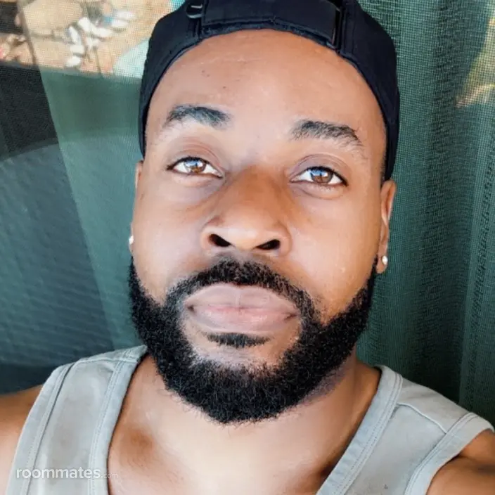 Roommate looking Irving, TX, $700