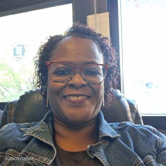 Roommate looking Southfield, MI, $1000