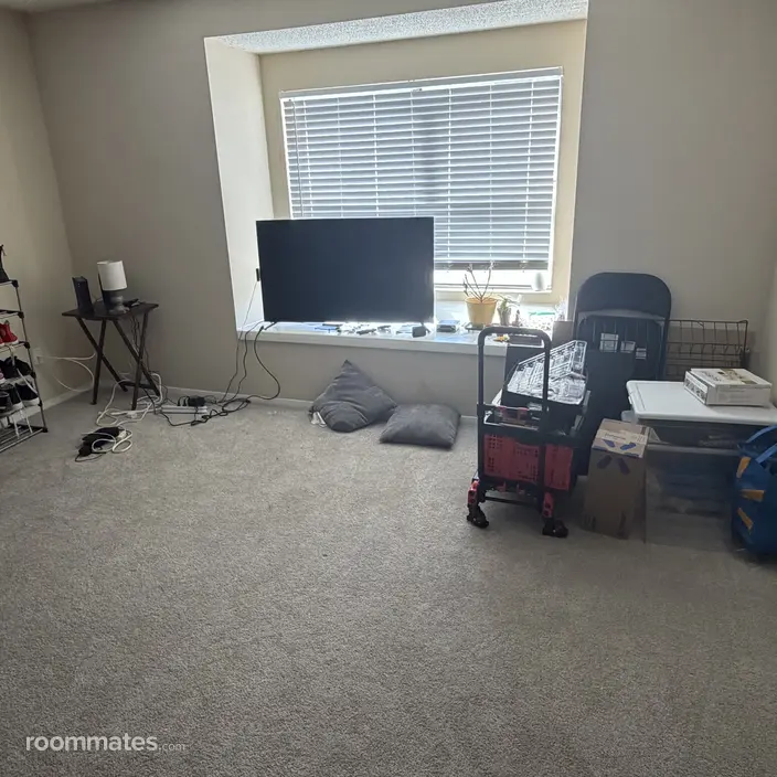 Room for rent in Asheville, NC $1552, apartment