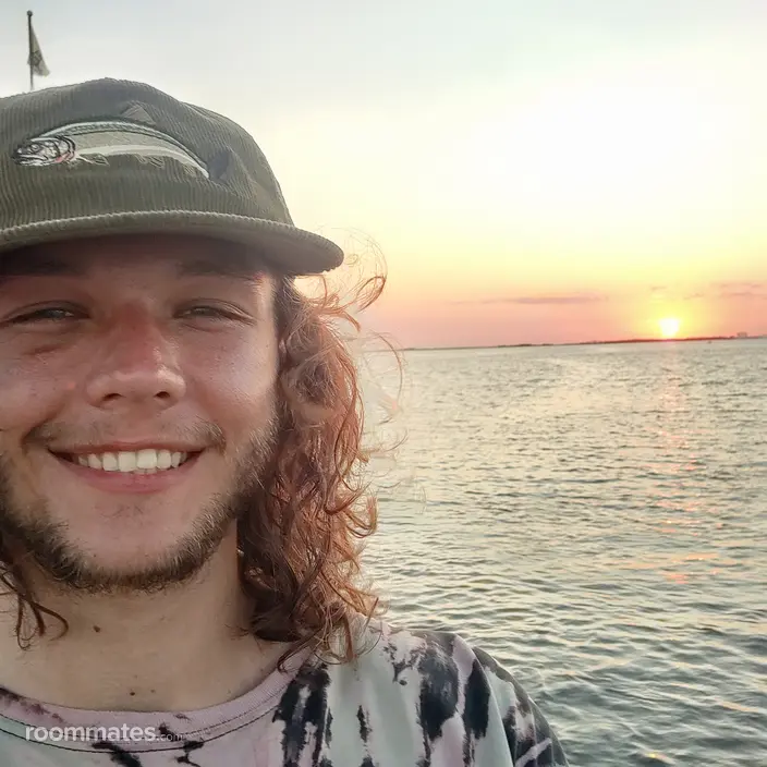 Roommate looking Knoxville, TN, $600