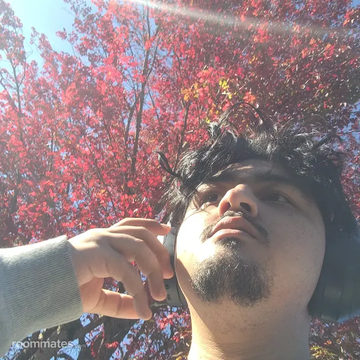 Roommate looking Middle Grove, OR, $800