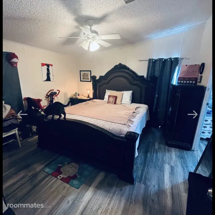 Room for rent in Plant City, FL $950, other