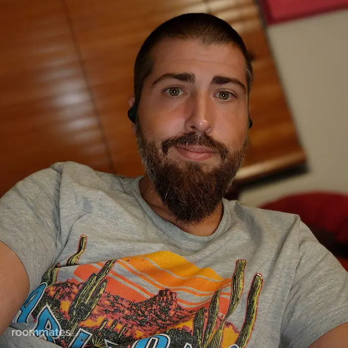 Roommate looking Phoenix, AZ, $800