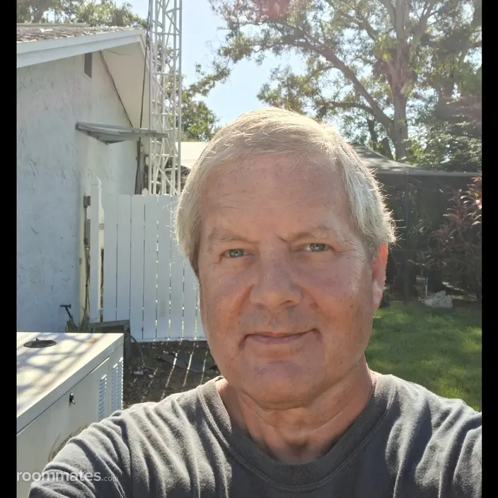 Roommate looking Seminole, FL, $800