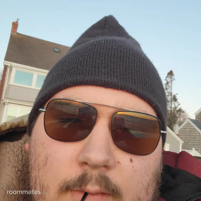 Roommate looking Newport, RI, $800