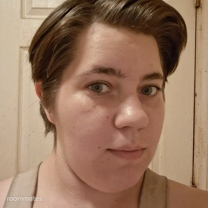 Roommate looking Belleville, IL, $900