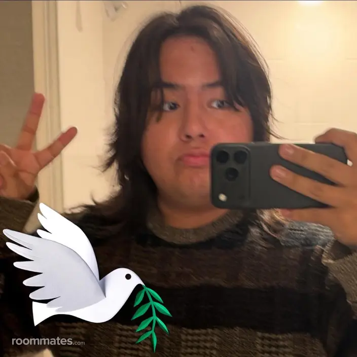 Roommate looking Salem, MA, $900