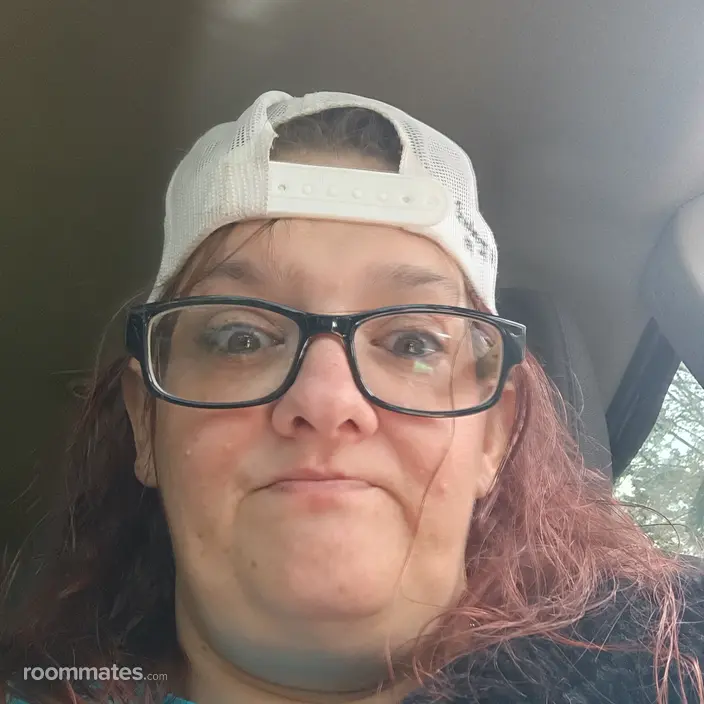 Roommate looking Warren, MI, $600