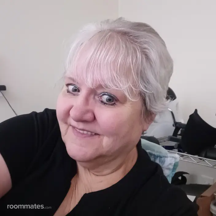 Roommate looking Las Vegas, NV, $700