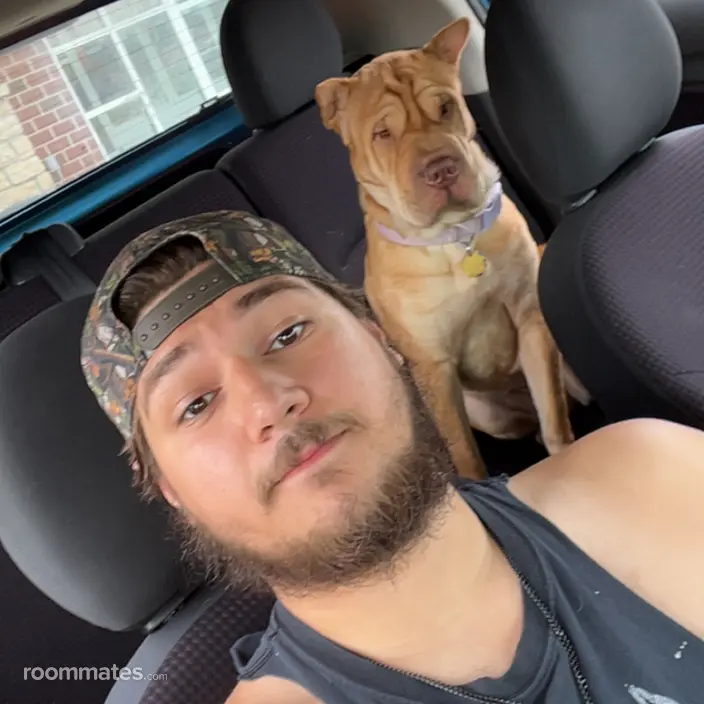 Roommate looking Kansas City, MO, $900