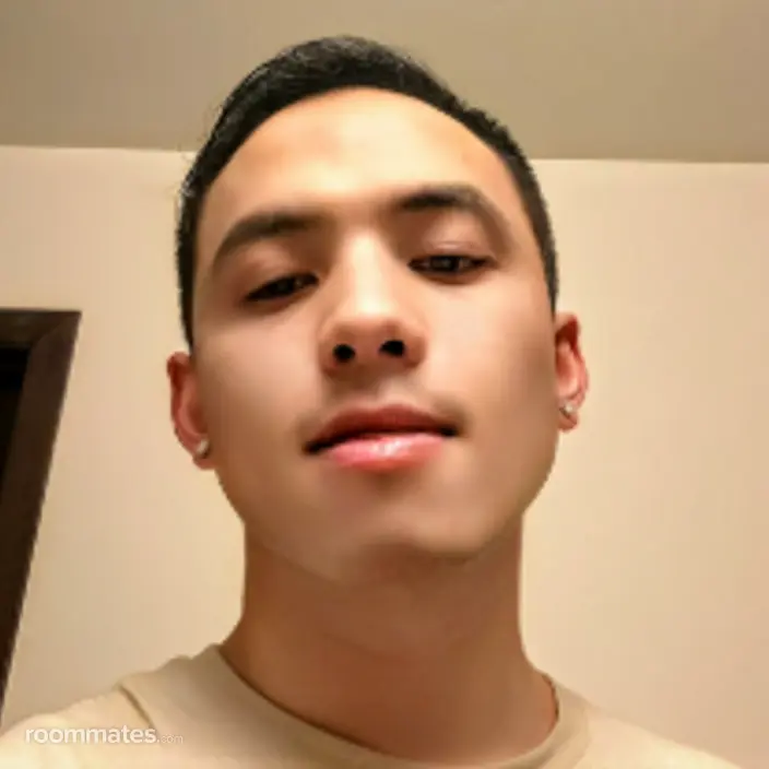 Roommate looking Saint Paul, MN, $2000