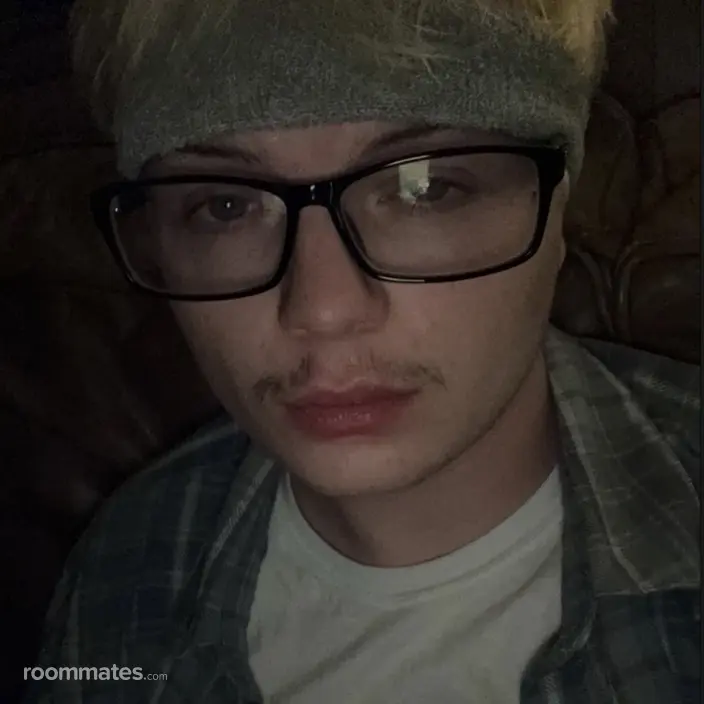 Roommate looking Dallas, TX, $1000