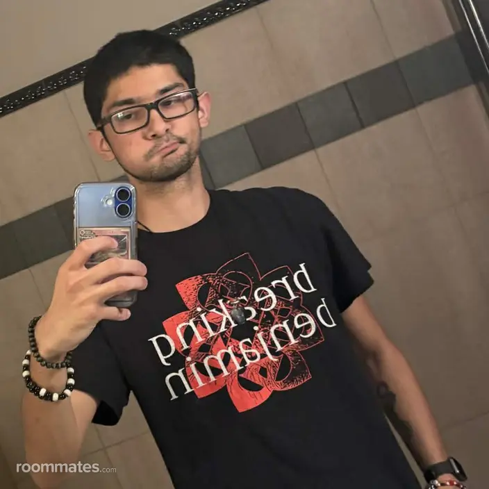 Roommate looking Conroe, TX, $700