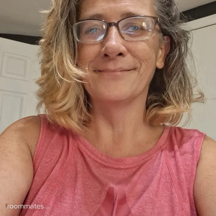 Roommate looking Hudson, FL, $700