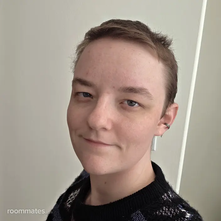 Roommate looking Wilmington, NC, $800