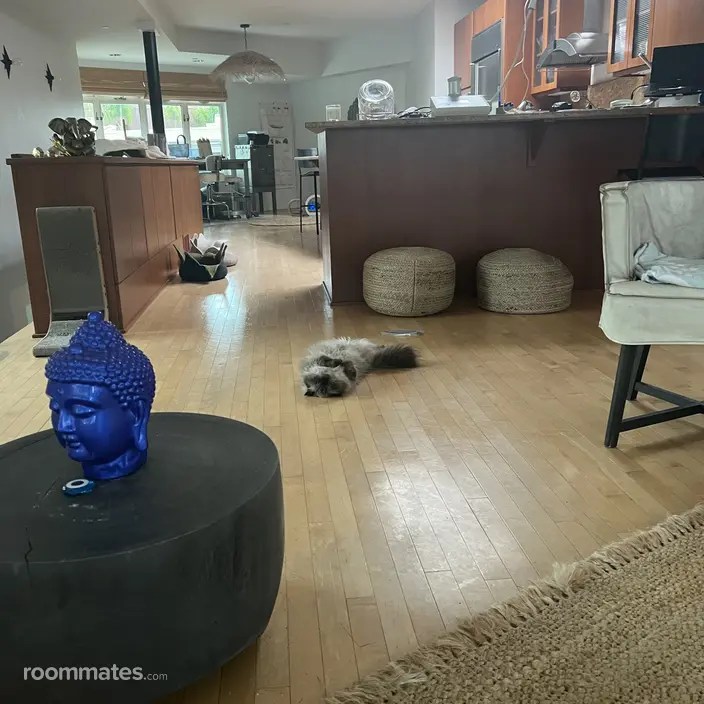 Room for rent in Laguna Beach, CA $1500, condo