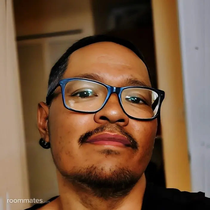 Roommate looking North Las Vegas, NV, $700