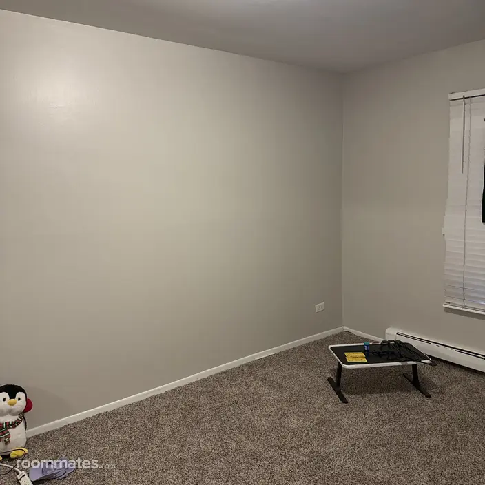 Room for rent in Glendale Heights, IL $800, house