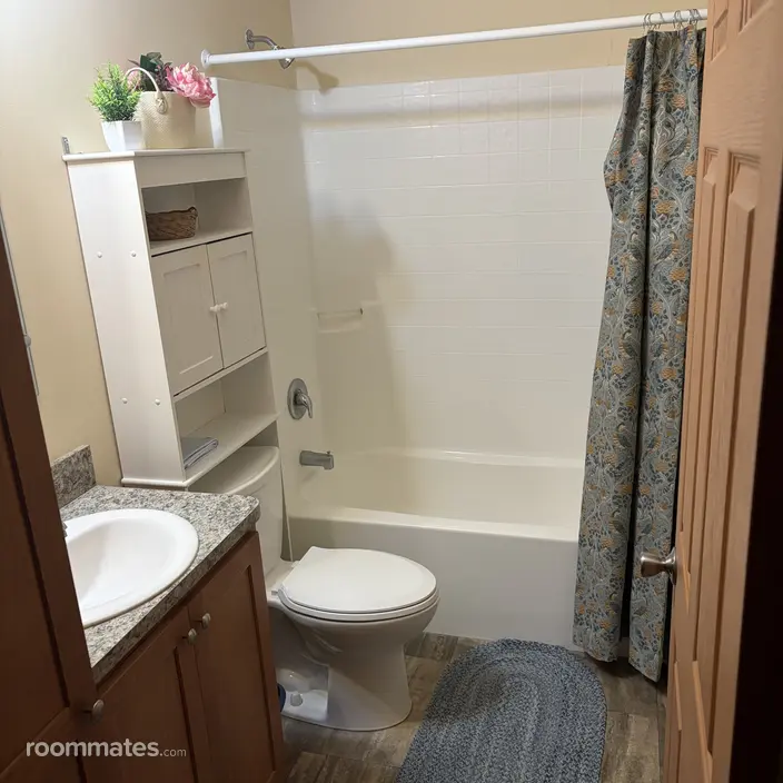 Room for rent in Dimondale, MI $700, house
