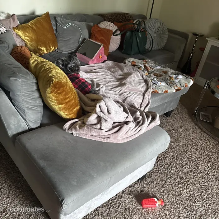 Room for rent in Newark, DE $795, house