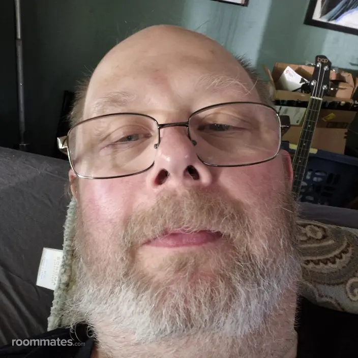 Roommate looking Edwardsburg, MI, $800
