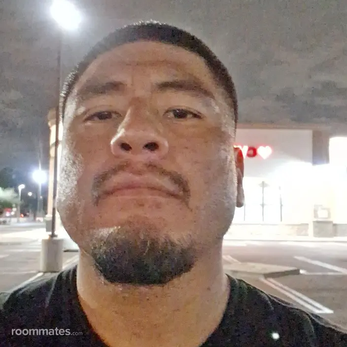 Roommate looking Phoenix, AZ, $800