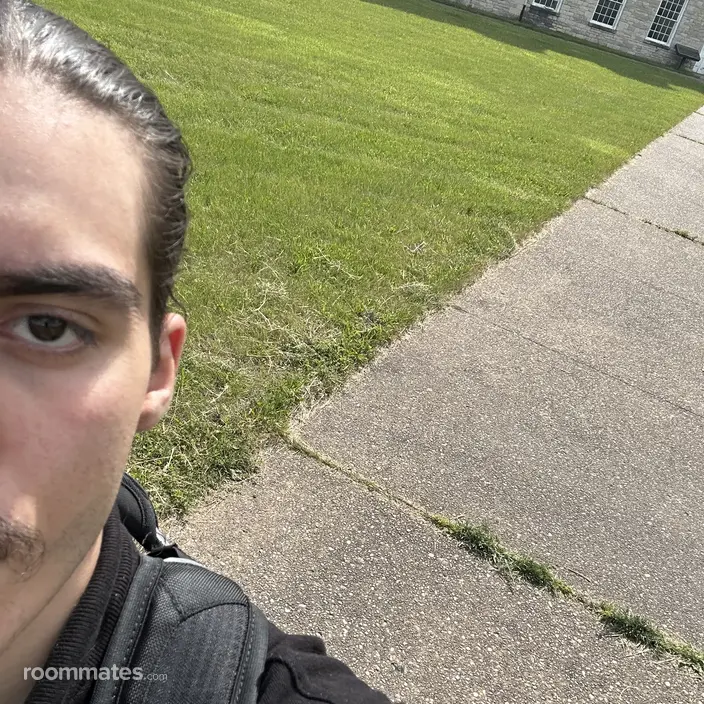 Roommate looking Southgate, MI, $1000