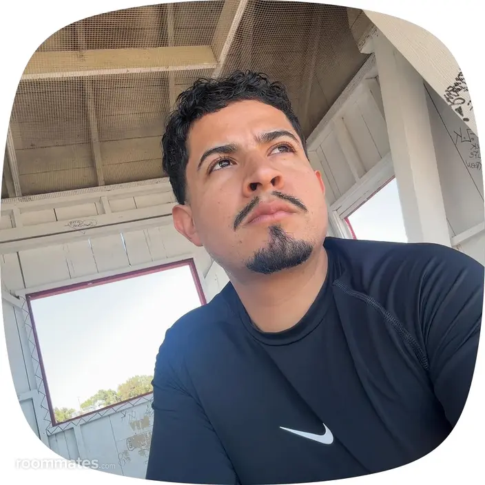 Roommate looking Newark CA, $1200