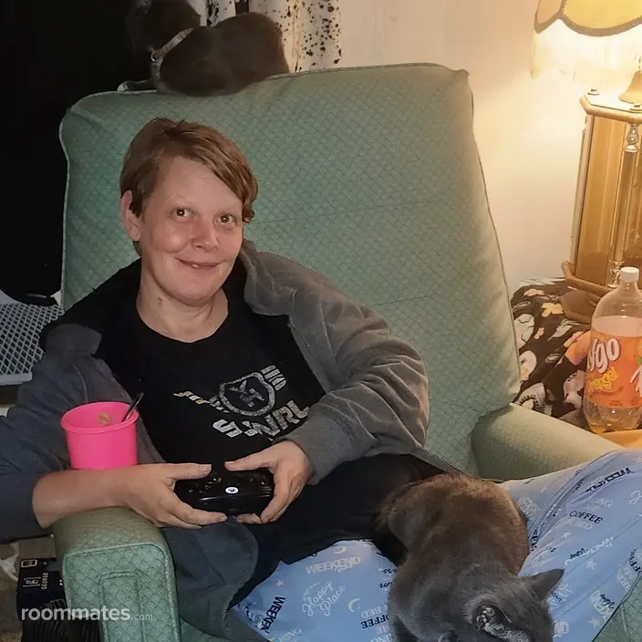 Roommate looking Owosso, MI, $500