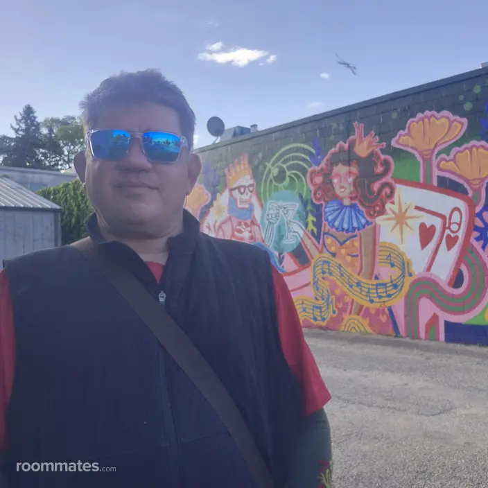 Roommate looking Joliet, IL, $800