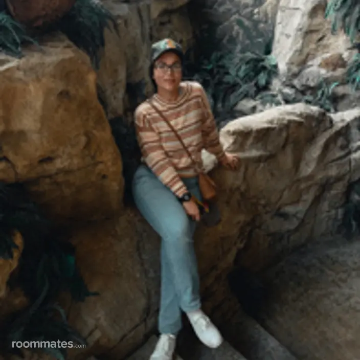 Roommate looking Fairfield, CA, $800