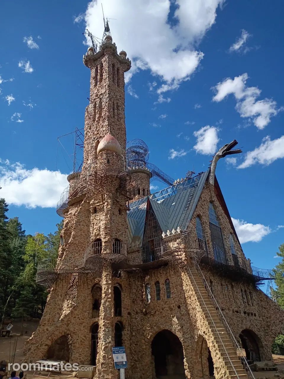 Profile photo 2 of 8