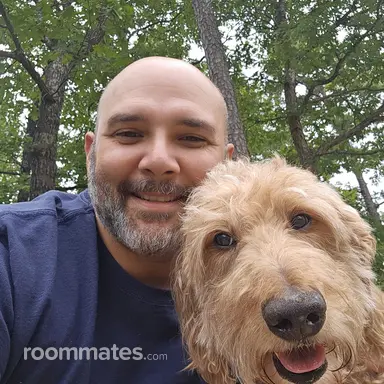 Roommate looking Joliet, IL, $800