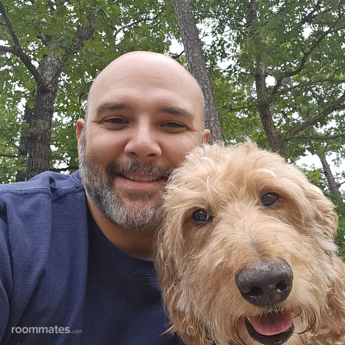 Roommate looking Lemont, IL, $800