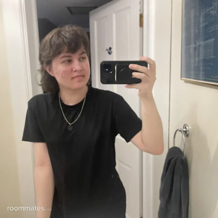 Roommate looking Baltimore, MD, $700