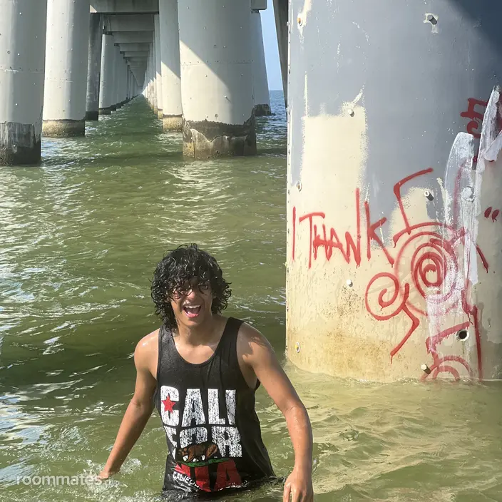 Roommate looking Virginia Beach, VA, $800