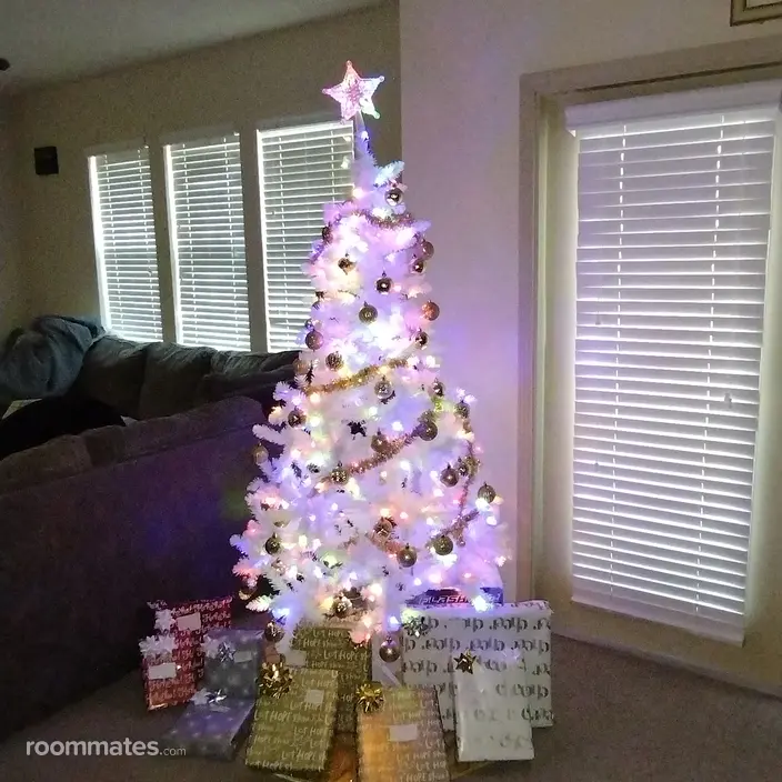 Room for rent in Clermont, FL $1000, apartment