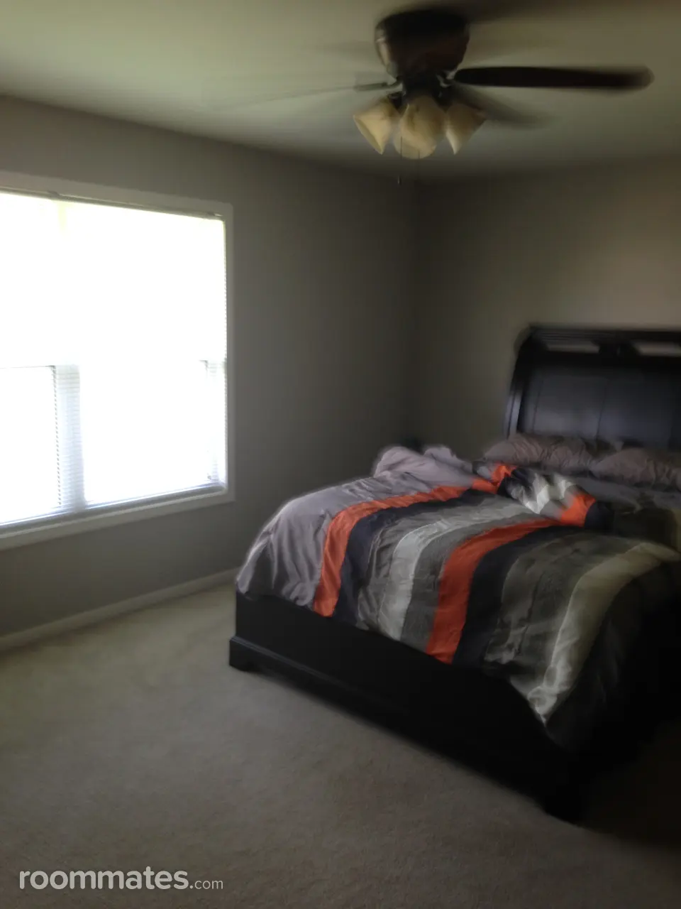 Profile photo 2 of 11