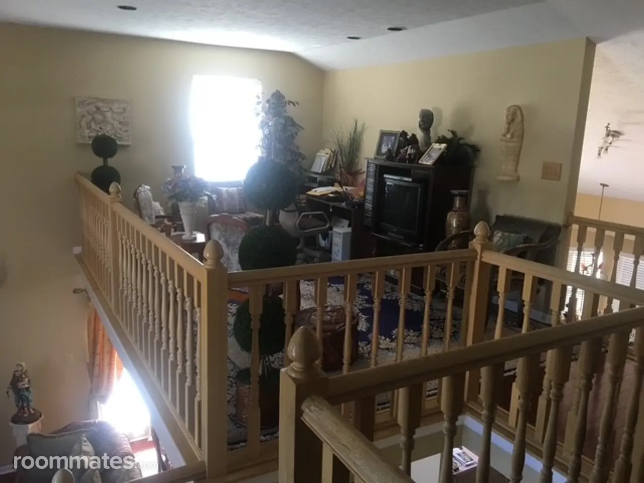 Profile photo 2 of 12