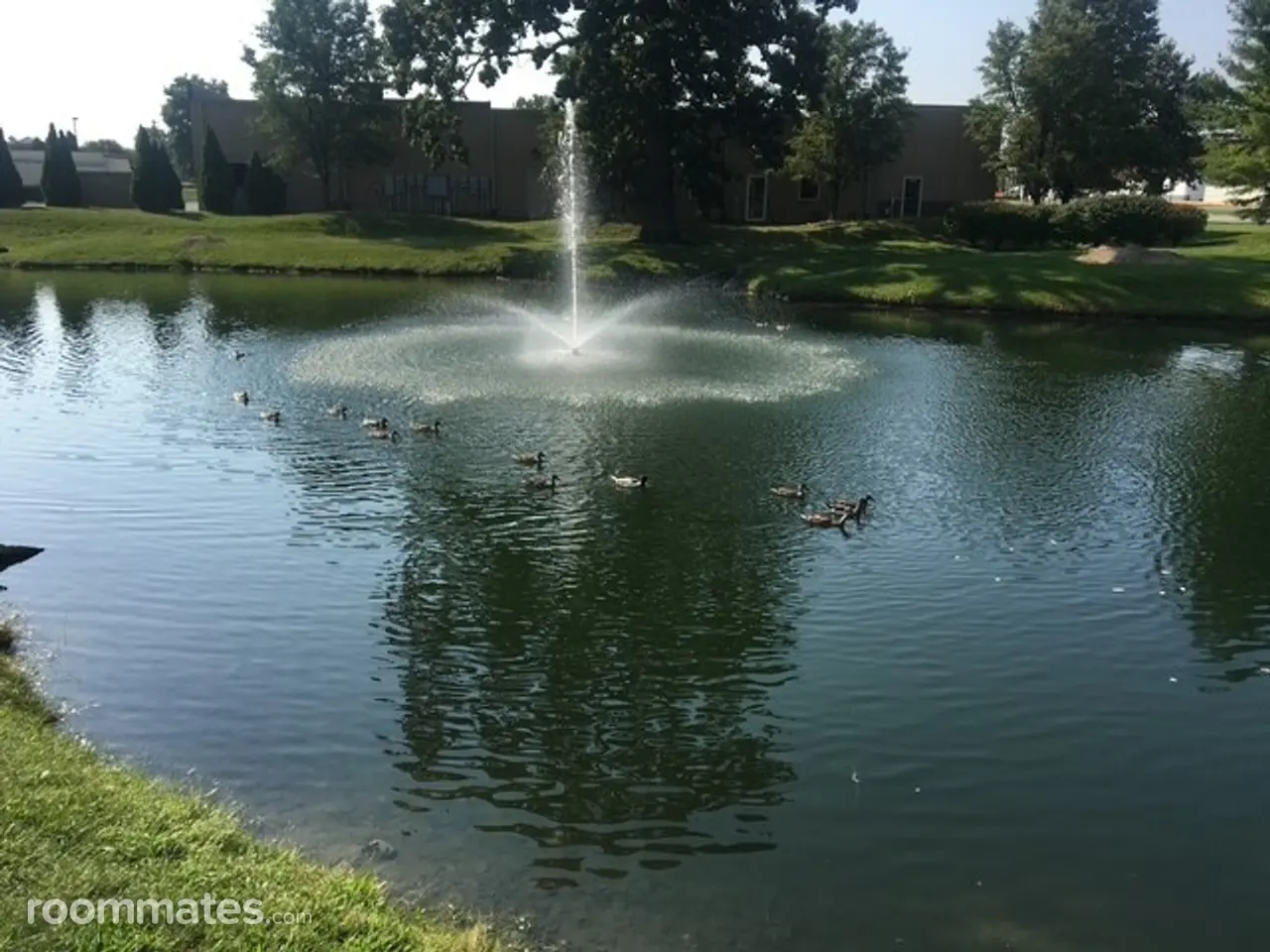 Profile photo 1 of 12