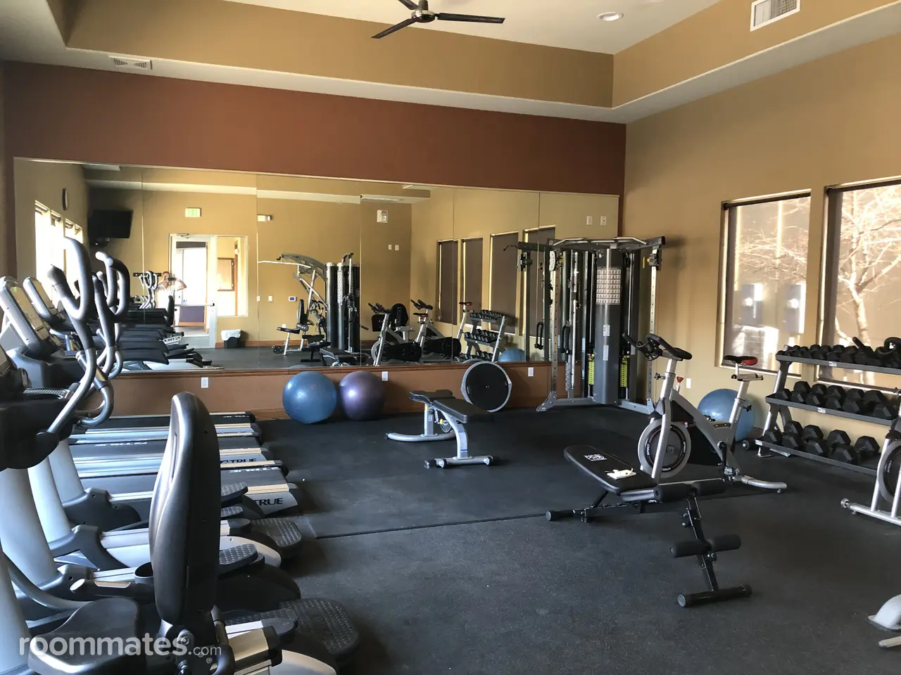 Profile photo 9 of 12