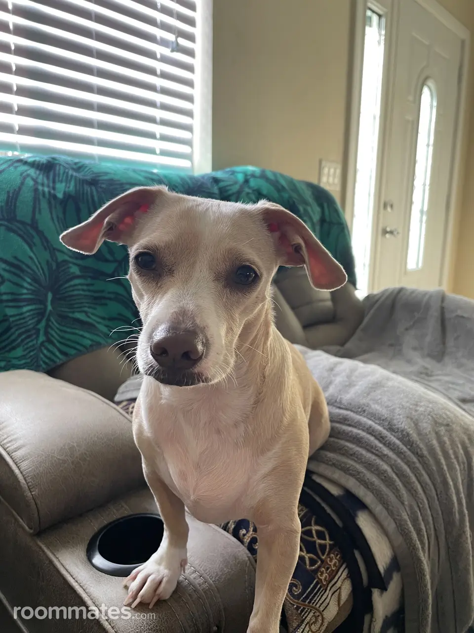 Profile photo 7 of 9